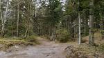 Untagged - Ferienhaus für 19 Personen (242 m²) in Nørre Nebel - Top-Hundeurlaub