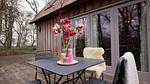 TerraceBalcony - Ferienhaus für 2 Personen (80 m²) in Bergen (Nordholland) - Top-Hundeurlaub