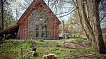ExteriorSummer - Ferienhaus für 2 Personen (80 m²) in Bergen (Nordholland) - Top-Hundeurlaub