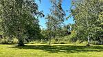 Untagged - Ferienhaus für 10 Personen (110 m²) in Læsø - Top-Hundeurlaub