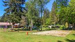 house - Ferienhaus für 4 Personen (55 m²) in Vorden - Top-Hundeurlaub