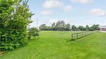 garden - Ferienhaus für 4 Personen (95 m²) in Nykøbing Mors - Top-Hundeurlaub