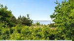 view-from-room - Ferienhaus für 10 Personen (100 m²) in Skjern - Top-Hundeurlaub