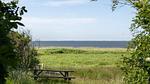 house - Ferienhaus für 10 Personen (100 m²) in Skjern - Top-Hundeurlaub