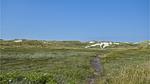 outside - Ferienhaus für 6 Personen (74 m²) in Ringkøbing - Top-Hundeurlaub
