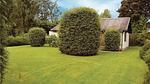 house - Ferienhaus für 6 Personen (58 m²) in Apenrade - Top-Hundeurlaub