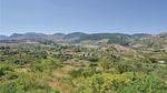 view-from-room - Ferienhaus für 10 Personen (170 m²) in Monreale - Top-Hundeurlaub
