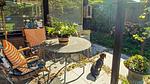 outside - Ferienhaus für 4 Personen (50 m²) in Warmenhuizen - Top-Hundeurlaub