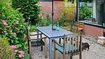 outside - Ferienhaus für 4 Personen (50 m²) in Warmenhuizen - Top-Hundeurlaub