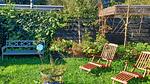 outside - Ferienhaus für 4 Personen (50 m²) in Warmenhuizen - Top-Hundeurlaub