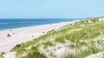 house - Ferienhaus für 8 Personen (126 m²) in Hvide Sande - Top-Hundeurlaub
