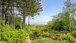 view-from-room - Ferienhaus für 3 Personen (46 m²) in Rømø - Top-Hundeurlaub