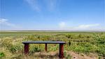 view-from-room - Ferienhaus für 3 Personen (46 m²) in Rømø - Top-Hundeurlaub