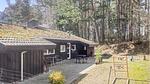 outside - Ferienhaus für 8 Personen (126 m²) in Ebeltoft - Top-Hundeurlaub