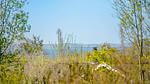 view-from-room - Ferienhaus für 6 Personen (75 m²) in Alsen - Top-Hundeurlaub