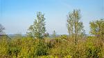 view-from-room - Ferienhaus für 6 Personen (75 m²) in Alsen - Top-Hundeurlaub