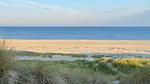 house - Ferienhaus für 4 Personen (52 m²) in Egmond aan Zee - Top-Hundeurlaub