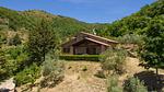 exterior - Ferienhaus für 6 Personen (120 m²) in Castiglione Fiorentino - Top-Hundeurlaub