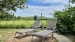 Garten [Sommer] - Ferienhaus für 3 Personen (50 m²) - Top-Hundeurlaub