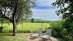Garten [Sommer] - Ferienhaus für 3 Personen (50 m²) - Top-Hundeurlaub