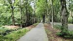 AreaSummer20KM - Ferienhaus für 7 Personen (195 m²) in Idskenhuizen - Top-Hundeurlaub