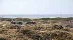 house - Ferienhaus für 20 Personen (307 m²) in Blåvand - Top-Hundeurlaub