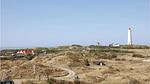 house - Ferienhaus für 20 Personen (307 m²) in Blåvand - Top-Hundeurlaub