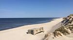 beach - Ferienhaus für 18 Personen (255 m²) in Hvide Sande - Top-Hundeurlaub
