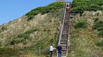 area - Ferienhaus für 24 Personen (310 m²) in Henne - Top-Hundeurlaub
