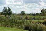Hanseatischer Golfclub e.V. in Greifswald - Top-Hundeurlaub