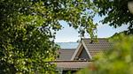view-from-room - Ferienhaus für 6 Personen (70 m²) in Alsen - Top-Hundeurlaub