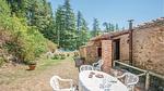 outside - Ferienhaus für 10 Personen (200 m²) in Gaiole In Chianti - Top-Hundeurlaub