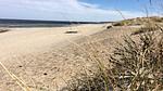 beach - Ferienhaus für 24 Personen (315 m²) in Frederiksværk - Top-Hundeurlaub