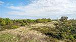view-from-room - Ferienhaus für 2 Personen (60 m²) in Skagen - Top-Hundeurlaub