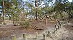 house - Ferienhaus für 8 Personen (115 m²) in Rømø - Top-Hundeurlaub