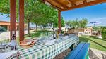 outside - Ferienhaus für 8 Personen (250 m²) in Senigallia - Top-Hundeurlaub