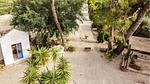 outside - Ferienhaus für 11 Personen (300 m²) in San Pancrazio - Top-Hundeurlaub