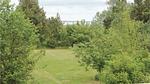 garden - Ferienhaus für 22 Personen (296 m²) in Blåvand - Top-Hundeurlaub