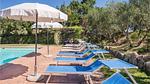pool - Ferienhaus für 11 Personen (200 m²) in Todi - Top-Hundeurlaub