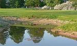Golfclub Westheim e.V. - Top-Hundeurlaub