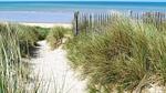house - Ferienhaus für 4 Personen (90 m²) in Hauteville-sur-mer - Top-Hundeurlaub