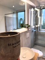Winterberg Appartement 21093 - Top-Hundeurlaub