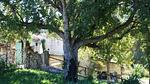 house - Ferienhaus für 2 Personen (30 m²) in Sainte-Maxime - Top-Hundeurlaub