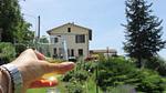 ExteriorSummer - Ferienwohnung für 4 Personen (31 m²) in Arcevia - Top-Hundeurlaub