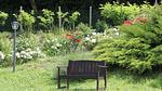 GardenSummer - Ferienwohnung für 4 Personen (31 m²) in Arcevia - Top-Hundeurlaub
