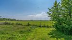 GardenSummer - Ferienhaus für 5 Personen (100 m²) in De Cocksdorp - Top-Hundeurlaub