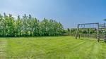 GardenSummer - Ferienhaus für 5 Personen (100 m²) in De Cocksdorp - Top-Hundeurlaub