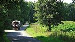 AreaSummer20KM - Villa für 7 Personen (120 m²) in Luttenberg - Top-Hundeurlaub