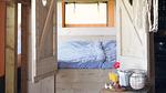 BedRoom - Ferienwohnung für 7 Personen (30 m²) in Callantsoog - Top-Hundeurlaub