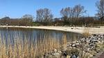 Ferienhaus für 4 Personen (40 m²) in Westerland (Nordholland) - Top-Hundeurlaub